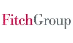 Fitch Group