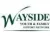 Wayside Youth & Family Support Network