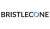 Bristlecone Inc.