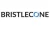 Bristlecone Inc.