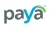Paya Holdings Inc