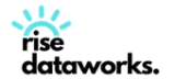 Rise Dataworks