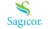 Sagicor Financial