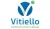 Vitiello Communications Group (VTLO)