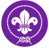World Scouts (WOSM)